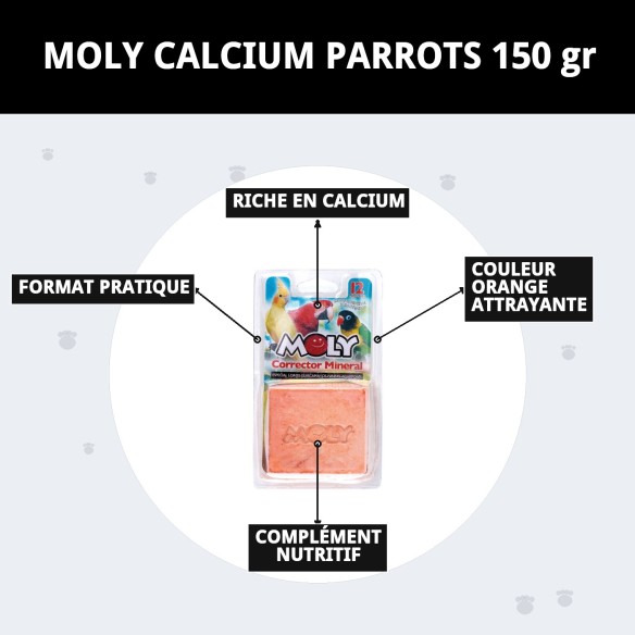 Moly Calcium pour Perroquets 150g - Vitalité et Santé Aviaire