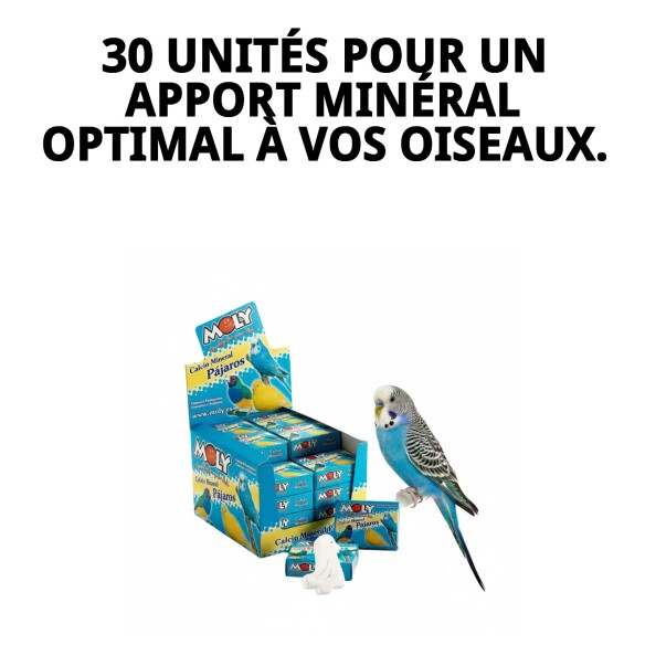 MOLY Présentoir 30 Unités de Calcium pour Oiseaux en Bonne Santé