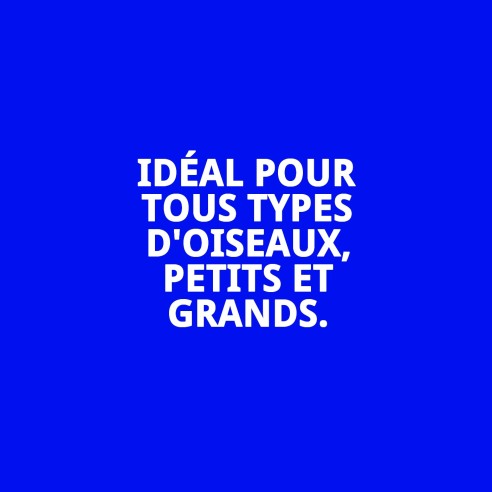 MOLY Présentoir 30 Unités de Calcium pour Oiseaux en Bonne Santé