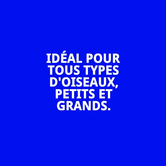 MOLY Présentoir 30 Unités de Calcium pour Oiseaux en Bonne Santé