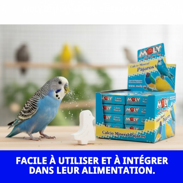 MOLY Présentoir 30 Unités de Calcium pour Oiseaux en Bonne Santé