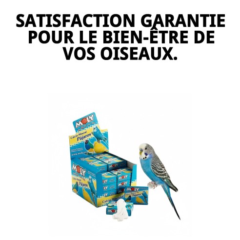 MOLY Présentoir 30 Unités de Calcium pour Oiseaux en Bonne Santé