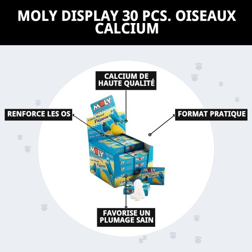 MOLY Présentoir 30 Unités de Calcium pour Oiseaux en Bonne Santé