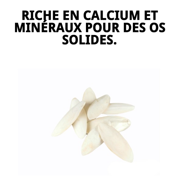 MOLY OS DE SEPIA 50 pièces - Snack idéal pour votre animal de compagnie