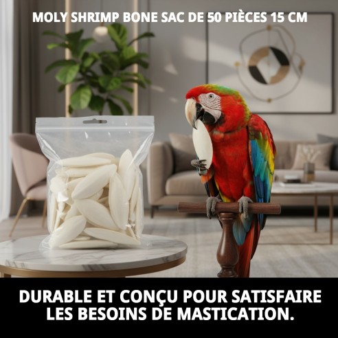 MOLY OS DE SEPIA 50 pièces - Snack idéal pour votre animal de compagnie