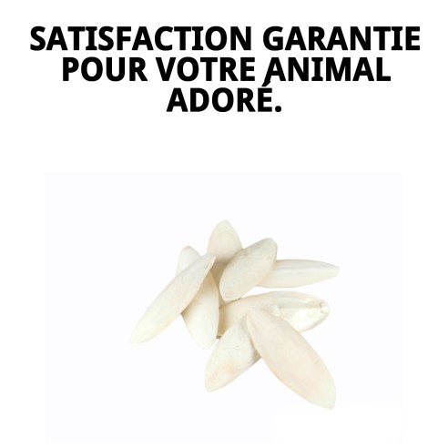 MOLY OS DE SEPIA 50 pièces - Snack idéal pour votre animal de compagnie