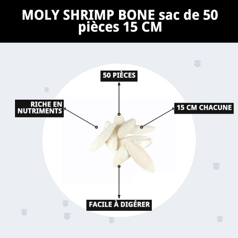 MOLY OS DE SEPIA 50 pièces - Snack idéal pour votre animal de compagnie