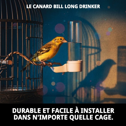 Biberon Long Bec Canard : Accessoire Idéal pour Cages
