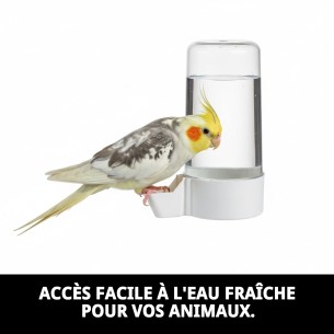 Distributeur d'eau Tube Super avec Anneau pour Animaux de Compagnie - Idéal et Pratique 2