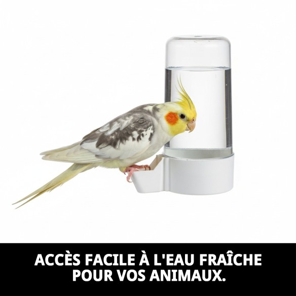 Distributeur d'eau Tube Super avec Anneau pour Animaux de Compagnie - Idéal et Pratique