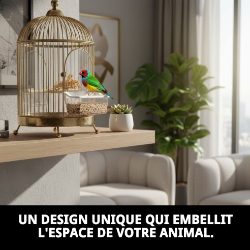 Comportement Exotique en Fer 11 cm pour Animaux de Compagnie