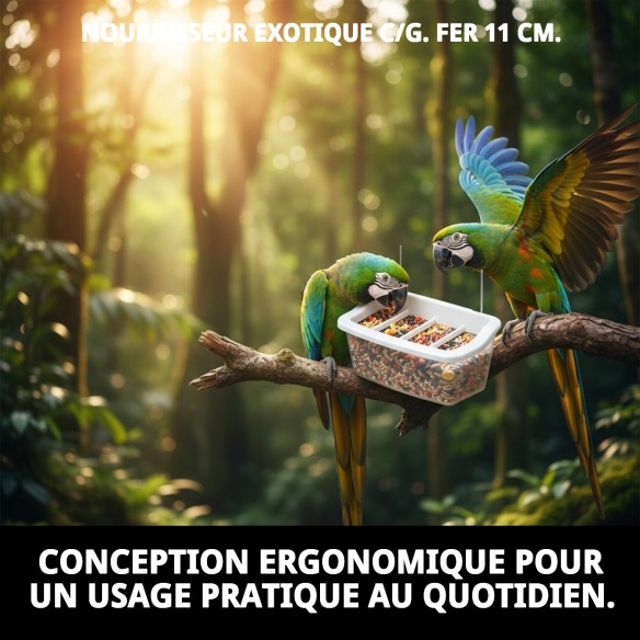 Comportement Exotique en Fer 11 cm pour Animaux de Compagnie