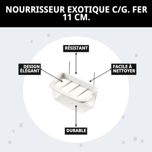 Comportement Exotique en Fer 11 cm pour Animaux de Compagnie