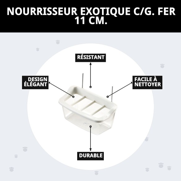 Comportement Exotique en Fer 11 cm pour Animaux de Compagnie