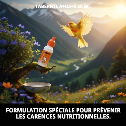 Tabernil A+D3+E 20ml pour la santé de vos oiseaux.