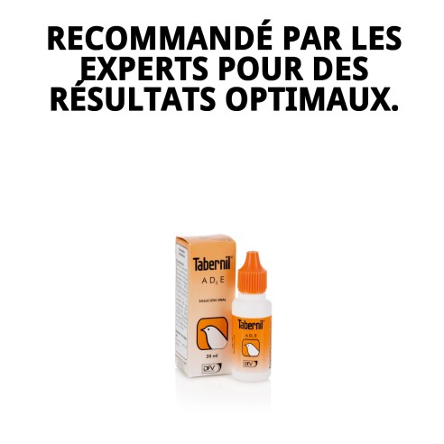 Tabernil A+D3+E 20ml pour la santé de vos oiseaux.