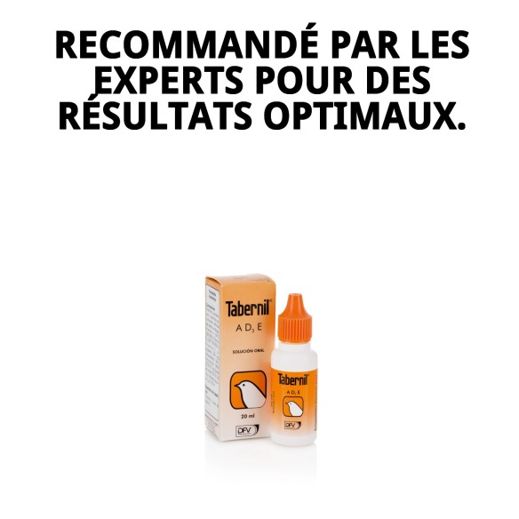 Tabernil A+D3+E 20ml pour la santé de vos oiseaux.