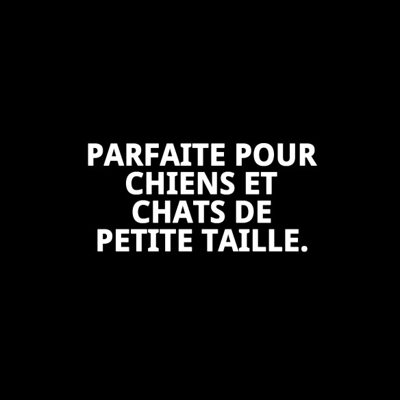 Baignoire Intérieure Petite pour Animaux - Confort et Propreté