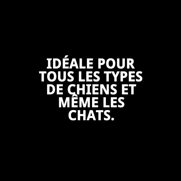 Baignoire extérieure en plastique pour animaux de compagnie - Confort et style