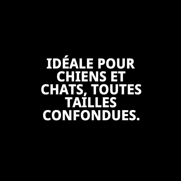 Baignoire Intérieure Grande pour Animaux - Confort et Style