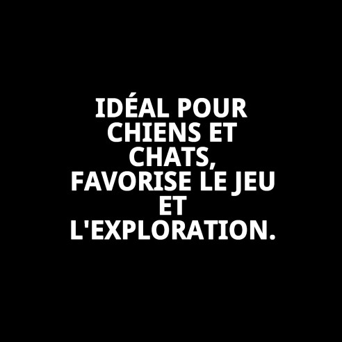 Biscuitière en verre intérieur pour accessoires de cages.