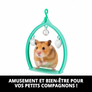 Balancoire Ovale en Plastique pour Animaux de Compagnie - Accessoire Idéal 2