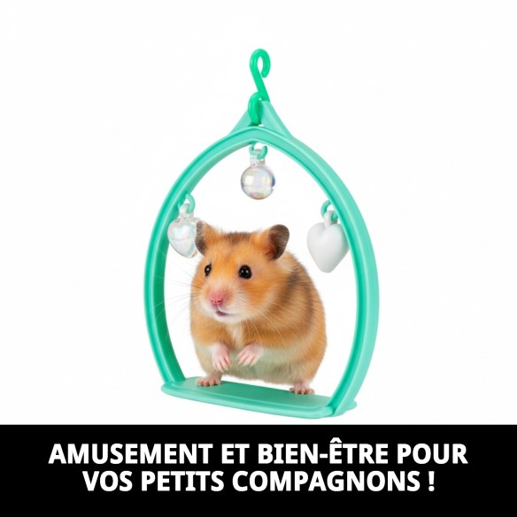 Balancoire Ovale en Plastique pour Animaux de Compagnie - Accessoire Idéal