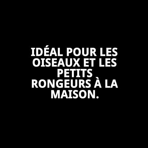 Balancoire Ovale en Plastique pour Animaux de Compagnie - Accessoire Idéal