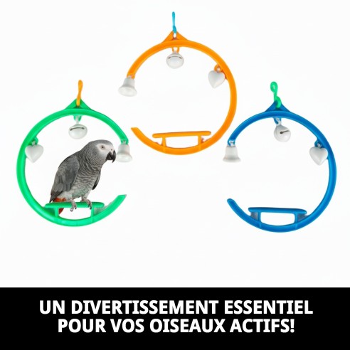 Balancoire en Plastique Ronde pour Oiseaux - Amusement Garanti