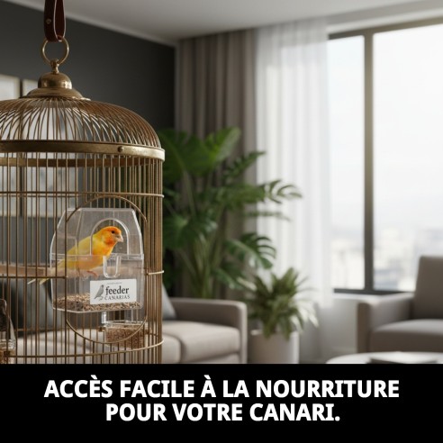 Comedero Canarias : Idéal pour les cages d'oiseaux extérieures.