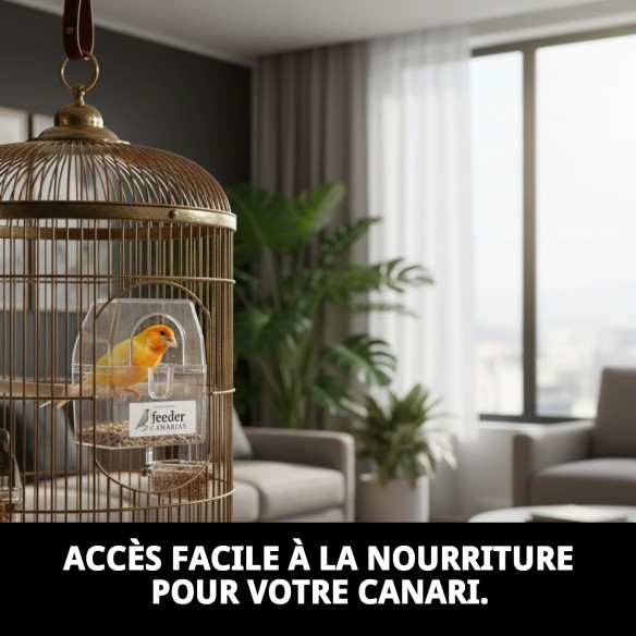 Comedero Canarias : Idéal pour les cages d'oiseaux extérieures.