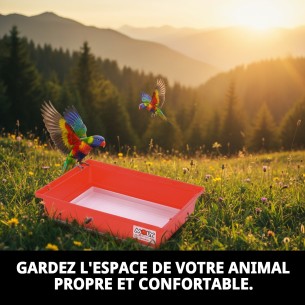 Caisse Cage Colorée pour Animaux de Compagnie - Achat en Ligne sur MOLY.es 2