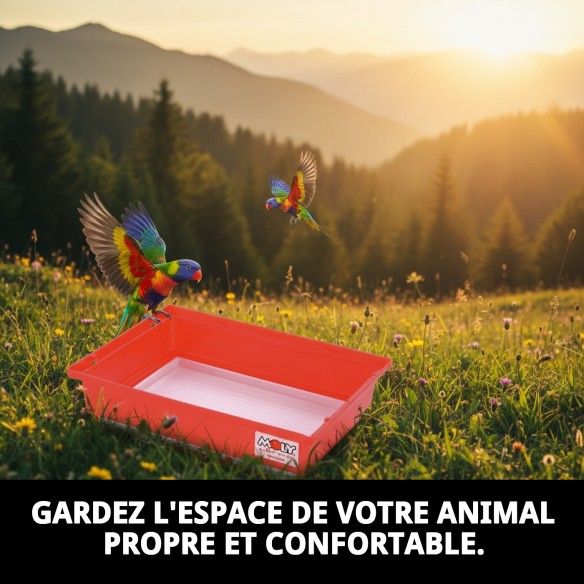 Caisse Cage Colorée pour Animaux de Compagnie - Achat en Ligne sur MOLY.es