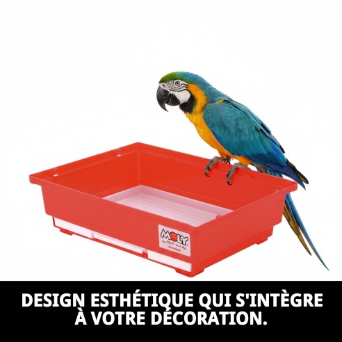 Caisse Cage Colorée pour Animaux de Compagnie - Achat en Ligne sur MOLY.es