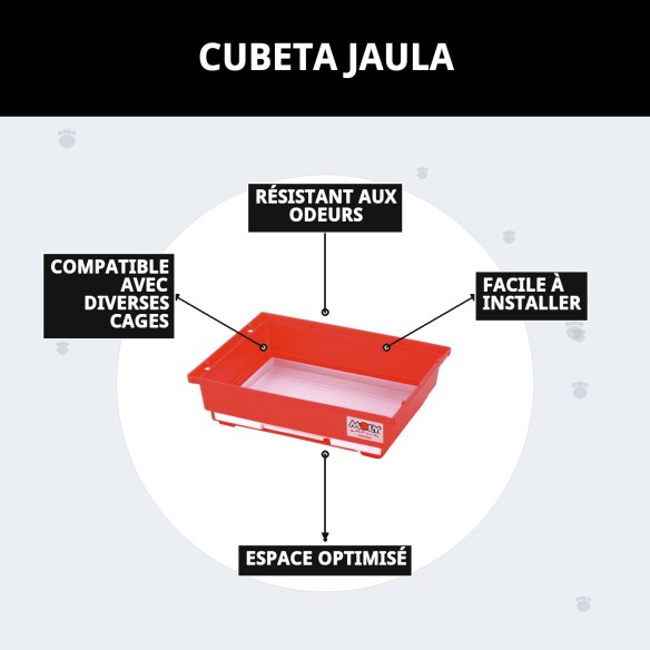 Caisse Cage Colorée pour Animaux de Compagnie - Achat en Ligne sur MOLY.es