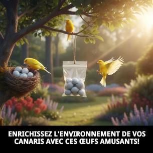 Œufs en plastique pour canaris - Sac de 100 unités 2