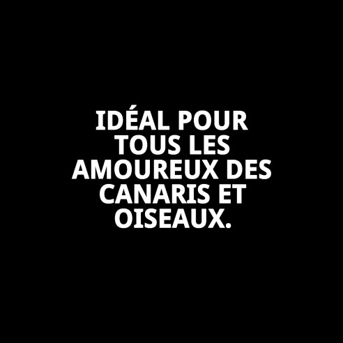 Œufs en plastique pour canaris - Sac de 100 unités