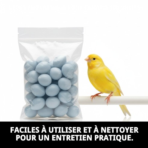 Œufs en plastique pour canaris - Sac de 100 unités
