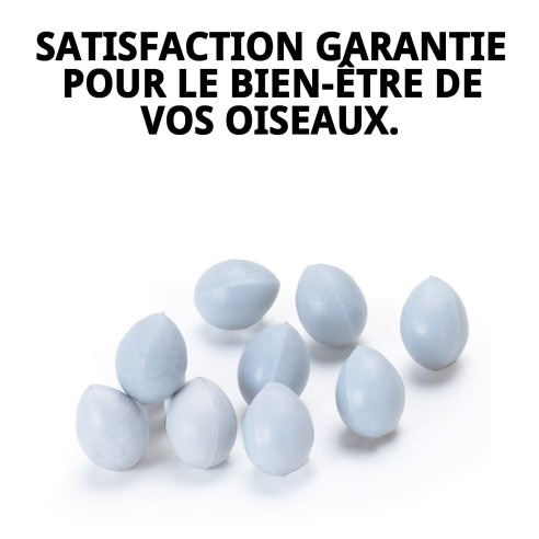 Œufs en plastique pour canaris - Sac de 100 unités