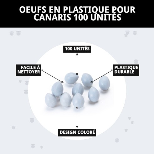 Œufs en plastique pour canaris - Sac de 100 unités