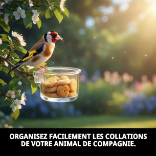 Portasalas Bizcochera : Accessoires Essentiels pour Cages 2