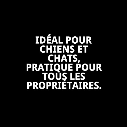 Portasalas Bizcochera : Accessoires Essentiels pour Cages