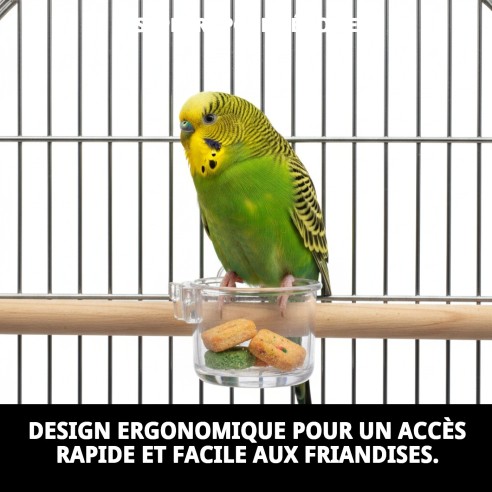 Portasalas Bizcochera : Accessoires Essentiels pour Cages