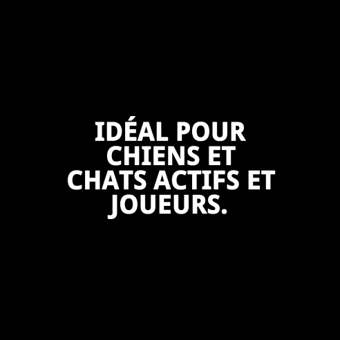 Pied pour cage 161 x 77 cm - Support résistant et sécurisé