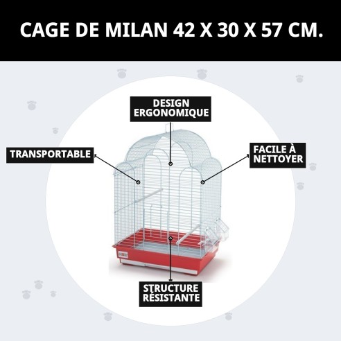 Cage Milan 42x30x57 cm : Confort et Style pour Animaux de Compagnie