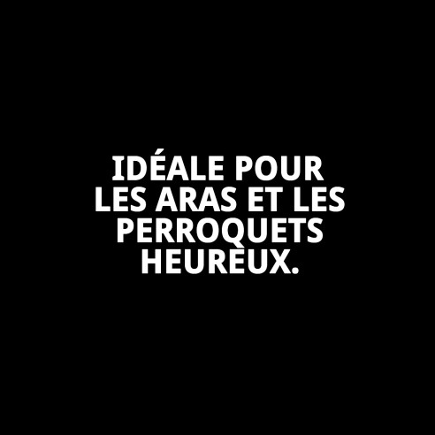 Cage pour perroquets 93x69x160 cm - Livraison à domicile