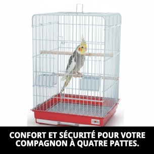 Cage Hawaii 47x47x65 cm - Idéale pour votre animal de compagnie 2