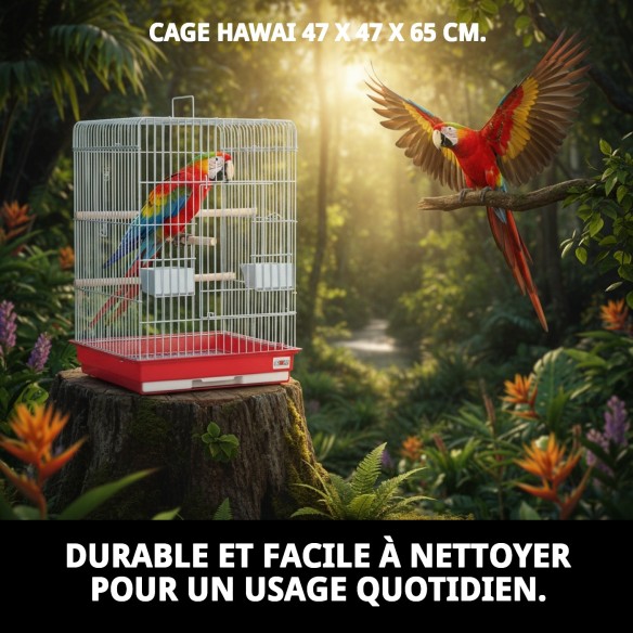Cage Hawaii 47x47x65 cm - Idéale pour votre animal de compagnie