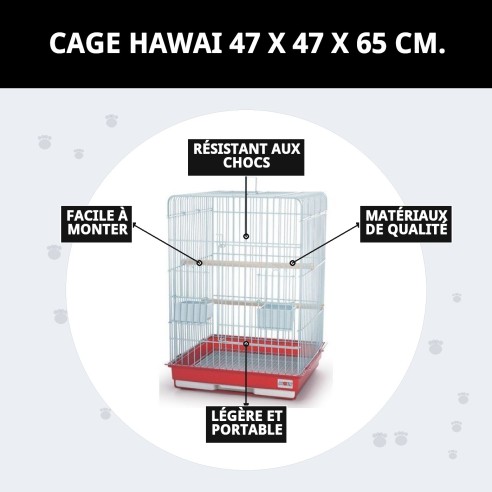 Cage Hawaii 47x47x65 cm - Idéale pour votre animal de compagnie