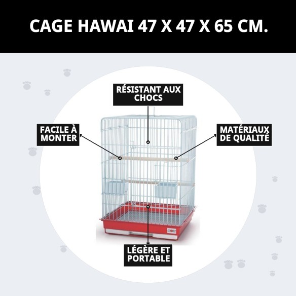 Cage Hawaii 47x47x65 cm - Idéale pour votre animal de compagnie